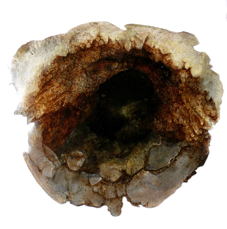 Hole, acrylic on vinyl 32" x 29"