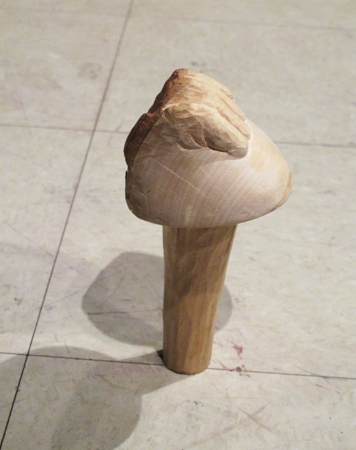 photo: Marilyn Arsem