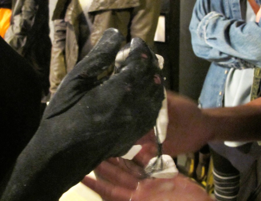 photo: Marilyn Arsem