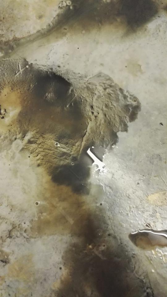 15577856_10154416470231888_377848334_n